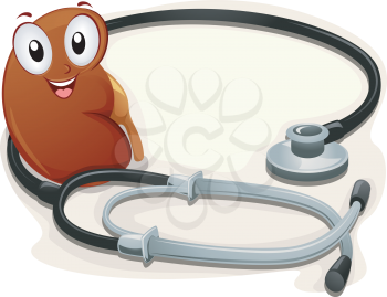 Illustration of a Kidney Siting Beside a Stethoscope