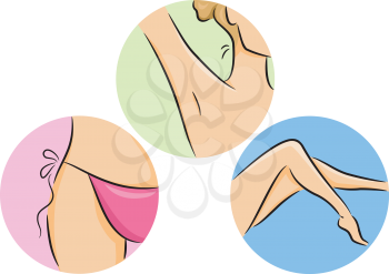Illustration of Different Parts of the Body Commonly Shaved by Women