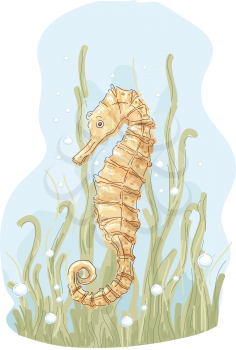 Illustration of a Golden Seahorse Swimming About