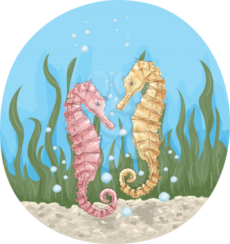 Illustration of a Pair of Colorful Seahorses Hanging Together