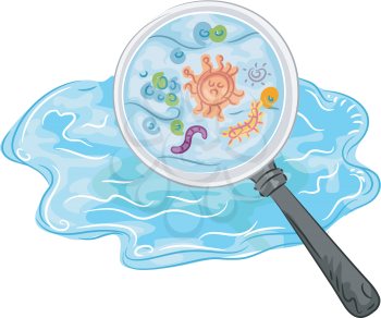 Illustration of a Magnifying Glass Revealing Germs in the Water