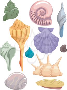 Illustration Set Featuring Different Types of Seashells