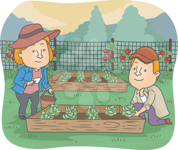 Illustration of a Couple Taking Care of The Vegetables on Their Raised Box
