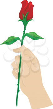 Cropped Illustration of a Hand Holding a Long Stemmed Rose
