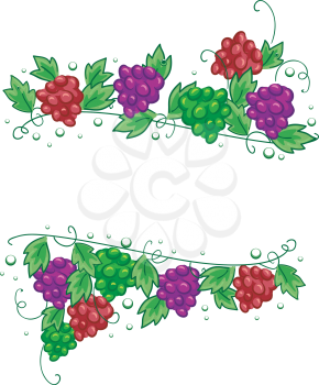 Illustration of Grapes Design Elements