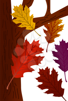 Royalty Free Clipart Image of a Oak Leaves Falling From a Tree