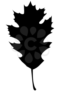 Royalty Free Clipart Image of a Black Oak Leaf