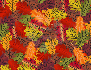 Royalty Free Clipart Image of a Collage of Autumn Coloured Leaves