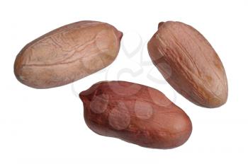 Royalty Free Photo of Three Peanuts in Skins