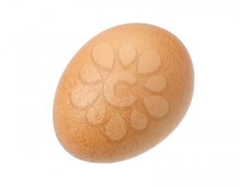 One brown egg on a white background, isolated.