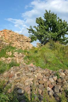 Royalty Free Photo of a Green Field and a Rocky Wall