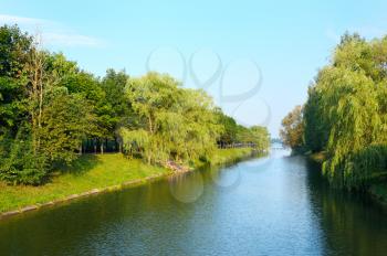 Royalty Free Photo of a River Between Trees