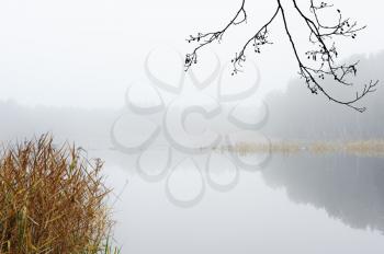 Royalty Free Photo of a Foggy Morning Over Water