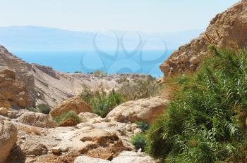 Royalty Free Photo of the Dead Sea at the Ein Gedi Nature Reserve