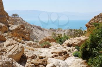 Royalty Free Photo of the Dead Sea at the Ein Gedi Nature Reserve