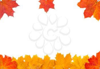Royalty Free Photo of an Autumn Leaf Border With Three Leaves at the Top