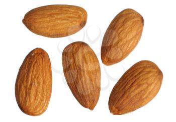 Royalty Free Photo of Almonds on a White Background