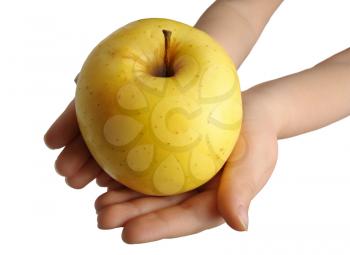 Royalty Free Photo of Hands Holding an Apple