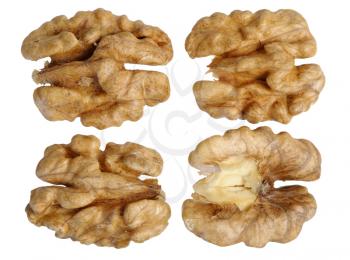 walnut (Juglans regia) on a white background, isolated.
