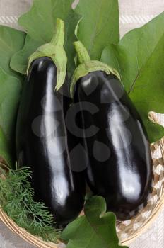 Royalty Free Photo of Two Eggplants in a Basket