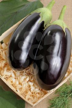 Royalty Free Photo of Two Eggplants