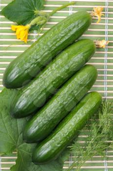 Royalty Free Photo of a Cucumbers