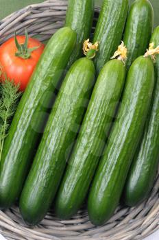 Royalty Free Photo of Cucumbers and a Tomato in a Basket