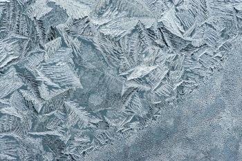 Royalty Free Photo of Hoarfrost on Glass
