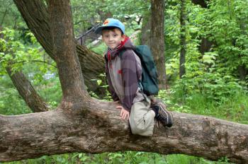 Royalty Free Photo of a Boy in a Tree