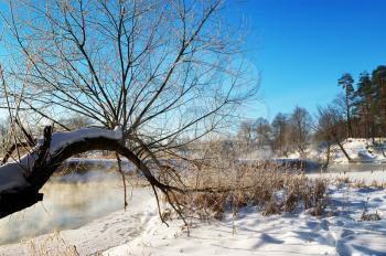 Royalty Free Photo of a Winter Scene in the Country