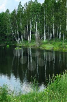 Royalty Free Photo of Trees Reflected in Water