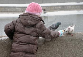Royalty Free Photo of a Child Feeding Pigeons