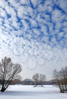 Royalty Free Photo of a Cloudy Sky in Winter