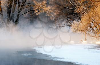 Royalty Free Photo of a Frosty Autumn Morning