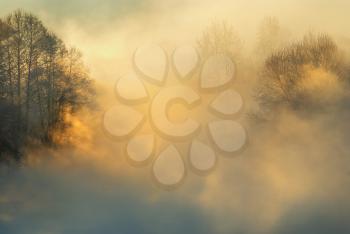 Royalty Free Photo of a Frosty Foggy Morning in Winter