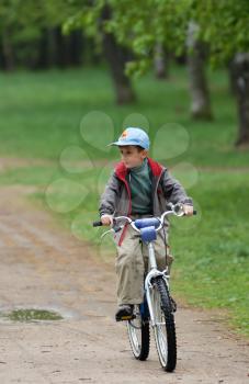 Royalty Free Photo of a Boy Riding a Bike in a Park