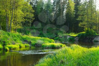 Royalty Free Photo of River in a Forest in Belarus