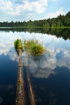 Royalty Free Photo of a Forest and Lake With a Tiny Patch of Grass