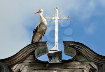 Royalty Free Photo of a Stork on the Top of a Church Beside a Cross