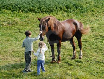 Royalty Free Photo of a Boy and Girl With a Horse