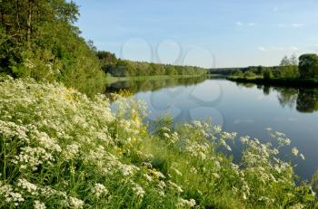 Royalty Free Photo of a River and Flowers