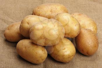 Several brown potatoes lies on a sacking