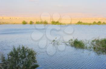 Reservoir in the Arava desert in the first rays of the sun