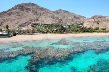 Coral reef in the Gulf of Eilat Red Sea