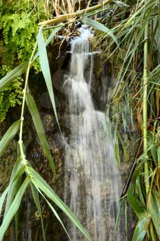 one of the waterfalls in Ein Gedi nature reserve on the shores of the Dead Sea