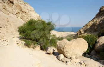 Ein Gedi Nature Reserve on the coast of the Dead Sea