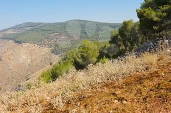 Royalty Free Photo of Mountains and Forests in Israel