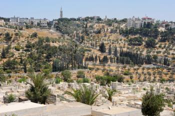 Royalty Free Photo of the Mount of Olives and the Russian Orthodox Tower and Church of the Ascension