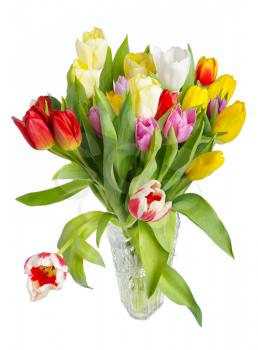 Motley bouquet of tulips in a crystal vase on a white background, isolated