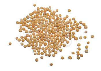 Mustard seeds on a white background, isolated